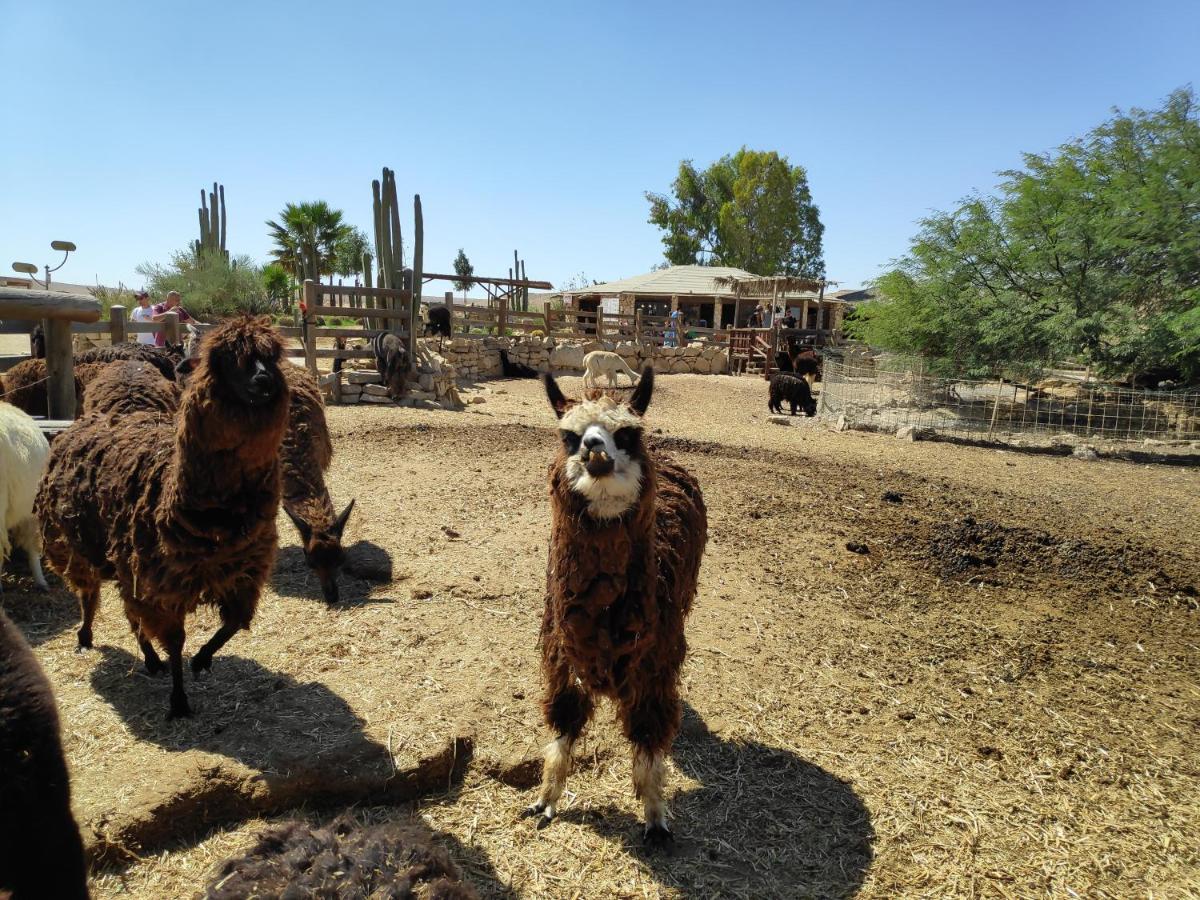 Shoshanat Hamidbar Midreshet Ben Gurion Esterno foto
